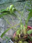 DSCN18670001.JPG