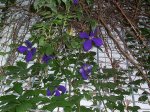 100_1648.jpg