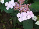 100_1603.jpg