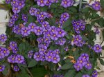100_1654.jpg