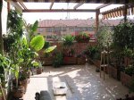 Mi Terraza Junio 2007 001_ Foro.JPG