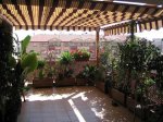 Mi Terraza Junio 2007 003_Foro.JPG