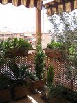 Mi Terraza Junio 2007 020_Foro.JPG