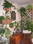 Mi Terraza Junio 2007 028_Foro.JPG