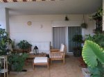 Mi Terraza Junio 2007 029_Foro.JPG