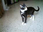 IMAG0113.jpg