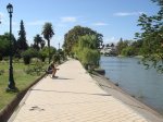 Lago del parque.jpg