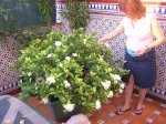 VIAJEAMADRID012.jpg