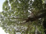 DSC03376.jpg