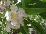DSC03690.jpg