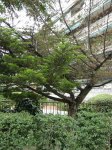 DSC03357.jpg