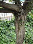 DSC03358.jpg