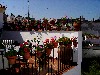 DSC03880.JPG