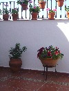 DSC03881.JPG