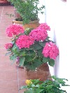 DSC03884.JPG