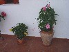 DSC03885.JPG