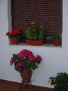 DSC03886.JPG
