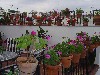 DSC03890.JPG