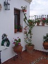 DSC03892.JPG