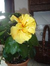 DSC03897.JPG