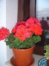 DSC03905.JPG
