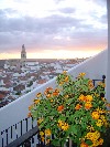 DSC03906.JPG