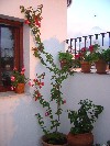 DSC03912.JPG