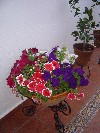 DSC03913.JPG