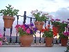 DSC03914.JPG