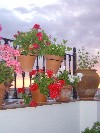 DSC03915.JPG