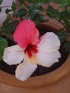DSC03917.JPG