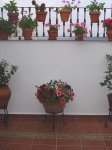 DSC03888.JPG