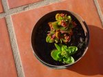 DSC04707.JPG