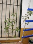 DSC01170.jpg