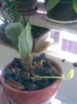 Imagen039.jpg