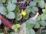 100_1726.jpg