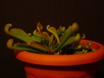 DSC02866.JPG