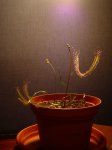 DSC02894.JPG