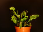 DSC02900.JPG