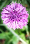 DSCN0035.jpg