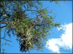 P5020423 copiar.jpg