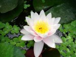 DSC00468.jpg