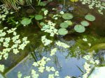 DSC00431.jpg