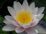 DSC00469.jpg