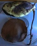 mangoydesconocida1.jpg