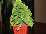 DSC06815.jpg