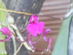 S5022611.JPG