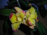 DSCN3260.JPG