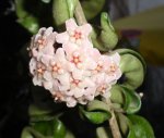 DSC01536.jpg