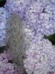 DSC01541.jpg